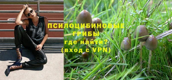 mdpv Беломорск