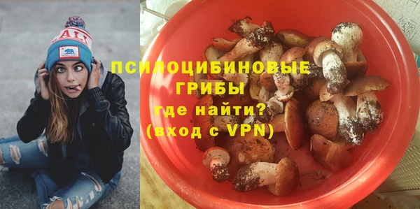 COCAINE Белокуриха